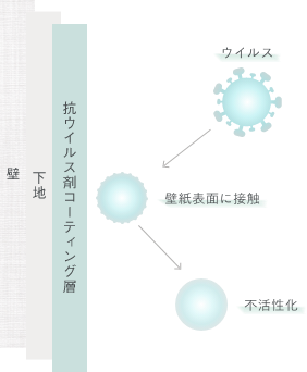 金属系抗ウイルス・抗菌剤のイオン接触や活性酸素の働きによって細胞膜や細胞壁を破壊。
